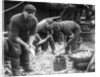 Gutting Fish by Andrew Pitcairn-Knowles
