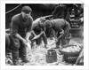 Gutting Fish by Andrew Pitcairn-Knowles