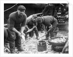 Gutting Fish by Andrew Pitcairn-Knowles