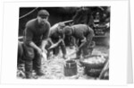 Gutting Fish by Andrew Pitcairn-Knowles