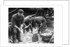 Gutting Fish by Andrew Pitcairn-Knowles