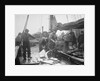 Unloading Fish on to Deck by Andrew Pitcairn-Knowles