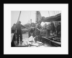 Unloading Fish on to Deck by Andrew Pitcairn-Knowles
