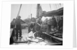 Unloading Fish on to Deck by Andrew Pitcairn-Knowles