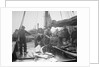 Unloading Fish on to Deck by Andrew Pitcairn-Knowles