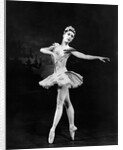 Margot Fonteyn in Homage to the Queen at the Royal Opera House by Houston Rogers