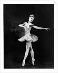 Margot Fonteyn in Homage to the Queen at the Royal Opera House by Houston Rogers