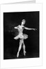 Margot Fonteyn in Homage to the Queen at the Royal Opera House by Houston Rogers