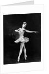 Margot Fonteyn in Homage to the Queen at the Royal Opera House by Houston Rogers