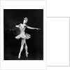 Margot Fonteyn in Homage to the Queen at the Royal Opera House by Houston Rogers