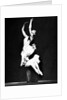 Rudolf Nureyev and Margot Fonteyn in Don Juan at the Royal Opera House by Anthony Crickmay