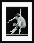 Rudolf Nureyev and Natalia Makarova in Tchaikovsky's The Sleeping Beauty at the Royal Opera House by Anthony Crickmay