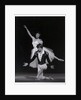 Rudolf Nureyev and Margot Fonteyn in Giselle by Anthony Crickmay