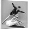 Rudolf Nureyev and Sonia Arova in Le Lac Des Cygnes by Anthony Crickmay