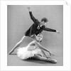 Rudolf Nureyev and Sonia Arova in Le Lac Des Cygnes by Anthony Crickmay