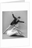 Rudolf Nureyev and Sonia Arova in Le Lac Des Cygnes by Anthony Crickmay