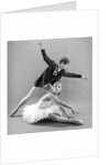 Rudolf Nureyev and Sonia Arova in Le Lac Des Cygnes by Anthony Crickmay