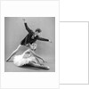 Rudolf Nureyev and Sonia Arova in Le Lac Des Cygnes by Anthony Crickmay