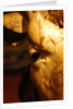 Head of an Ox by Stuart Cox