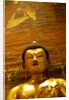 Seated Buddha by Stuart Cox