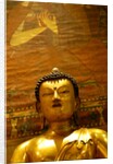 Seated Buddha by Stuart Cox