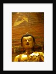 Seated Buddha by Stuart Cox