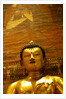 Seated Buddha by Stuart Cox