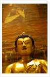 Seated Buddha by Stuart Cox