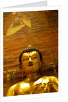 Seated Buddha by Stuart Cox