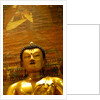 Seated Buddha by Stuart Cox