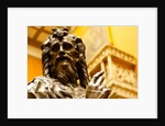 St John the Baptist by Stuart Cox