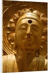 The Buddha Amitabha by Stuart Cox
