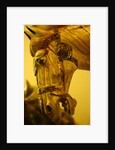 Horse by Stuart Cox