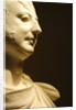 William Frederick by Stuart Cox