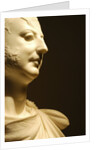 William Frederick by Stuart Cox