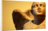Winged Angel by Stuart Cox