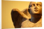 Winged Angel by Stuart Cox