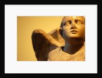 Winged Angel by Stuart Cox