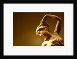 Leda and The Swan by Stuart Cox