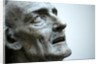 St Jerome by Stuart Cox