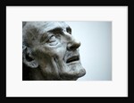 St Jerome by Stuart Cox