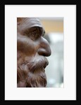 Portrait of a man, detail by Stuart Cox