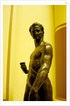 David by Stuart Cox