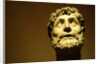 Emperor wearing a laurel wreath by Stuart Cox