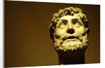 Emperor wearing a laurel wreath by Stuart Cox