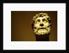 Emperor wearing a laurel wreath by Stuart Cox