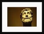 Emperor wearing a laurel wreath by Stuart Cox