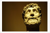 Emperor wearing a laurel wreath by Stuart Cox