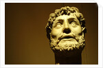 Emperor wearing a laurel wreath by Stuart Cox