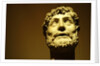 Emperor wearing a laurel wreath by Stuart Cox